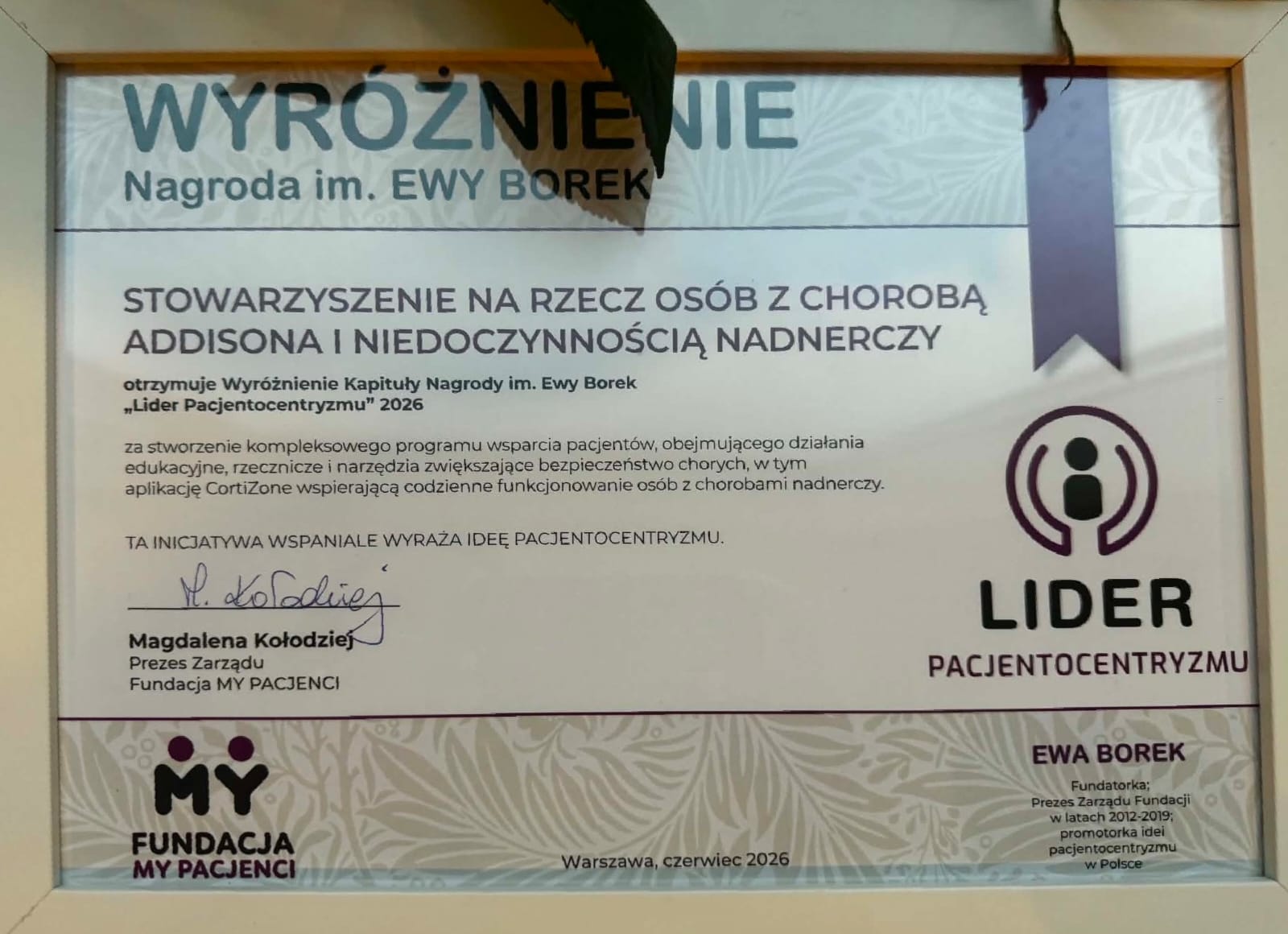 wróżnienie